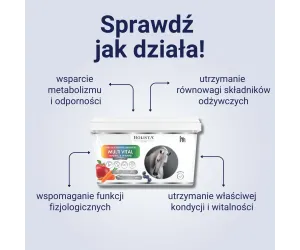Kompleksowe odżywienie kopyt - Hoof Expert Hoof Oil 400ml + Multi Vital 3500g