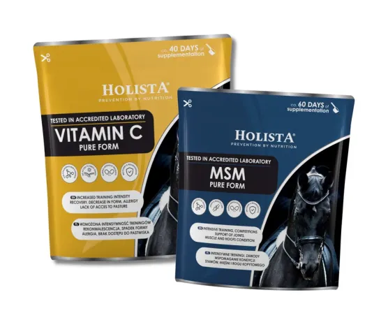 PAKIET Witamina C 600g + MSM 450g