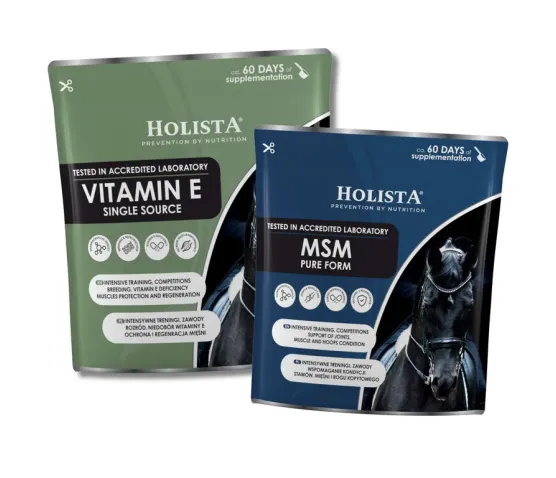 PAKIET Witamina E 400g + MSM 450g