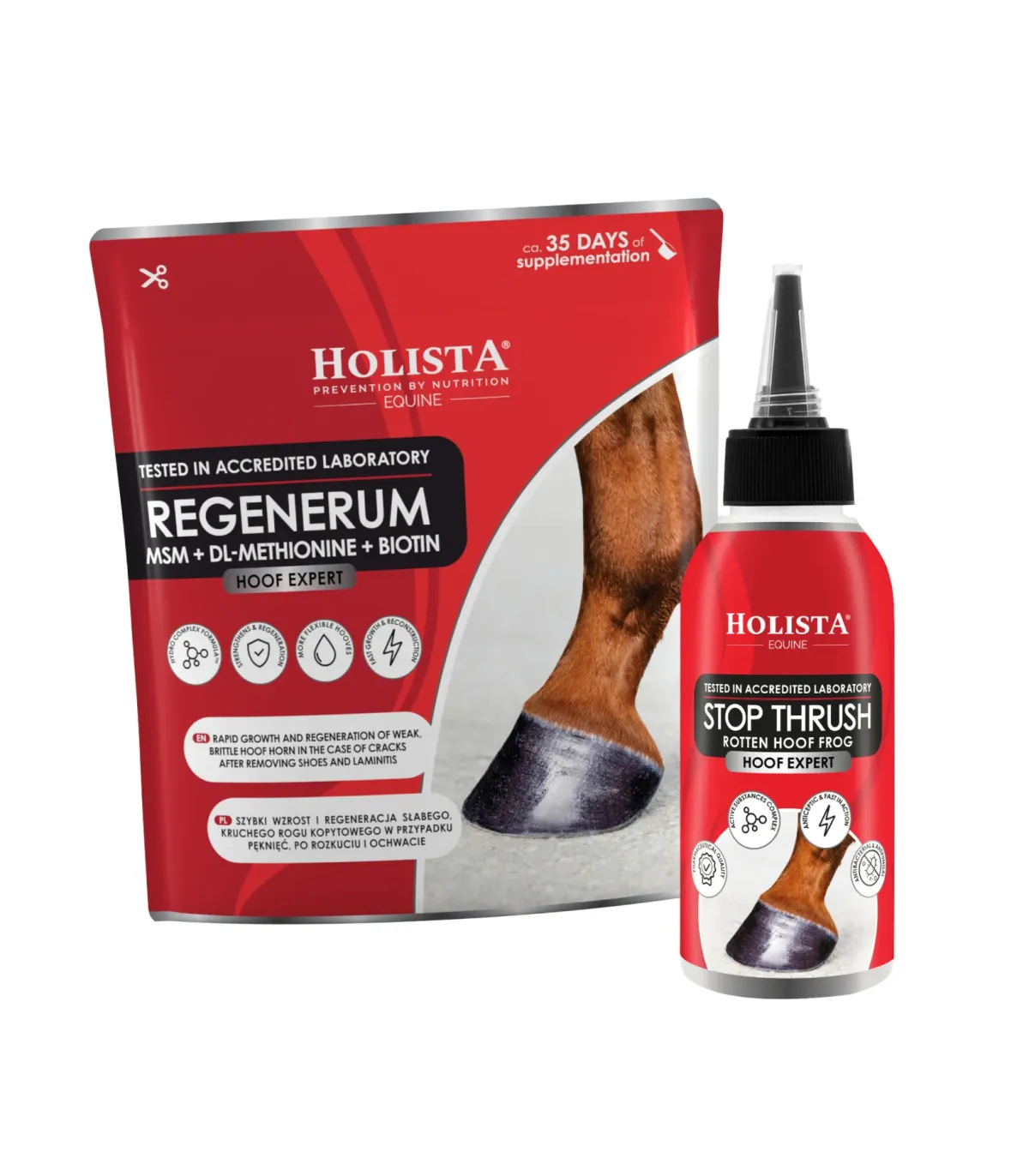 ZESTAW Stop Thrush 100ml + Hoof Expert Regenerum 1kg