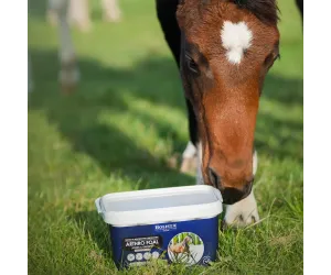 Arthro Foal 2000g wsparcie aparatu ruchu źrebaków