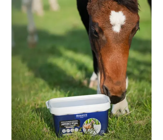 Arthro Foal 2000g wsparcie aparatu ruchu źrebaków