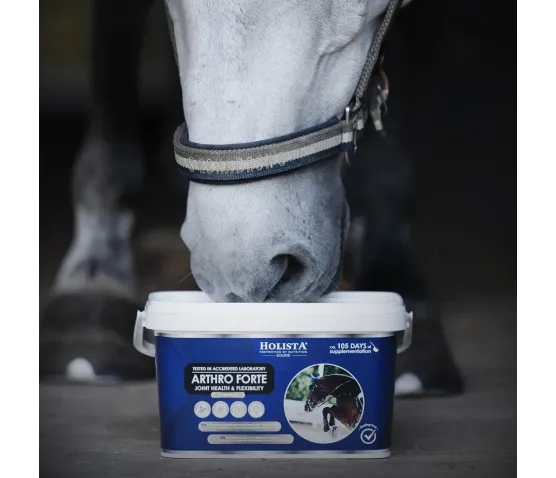 Arthro Forte 2000g profesjonalna ochrona i regeneracja aparatu ruchu