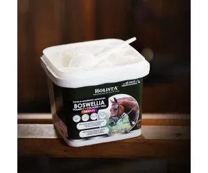 Boswellia Serrata Complex 1000g regeneracja stawów