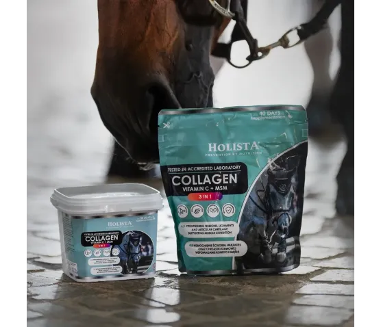 Kolagen 3w1 Vit C + MSM 600g wzmocnienie struktury ścięgien i stawów