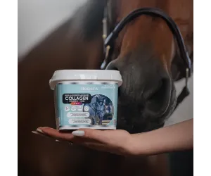 Kolagen 3w1 Vit C + MSM 1000g wzmocnienie struktury ścięgien i stawów