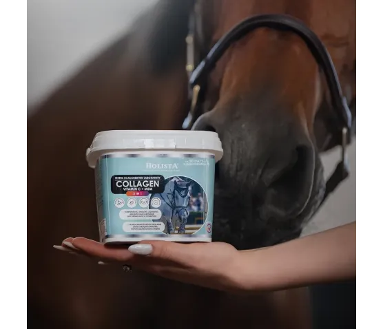 Kolagen 3w1 Vit C + MSM 1000g wzmocnienie struktury ścięgien i stawów