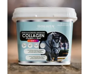 Kolagen 3w1 Vit C + MSM 1000g wzmocnienie struktury ścięgien i stawów