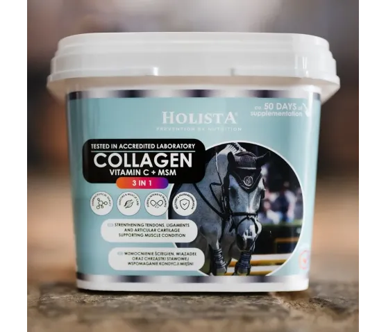Kolagen 3w1 Vit C + MSM 1000g wzmocnienie struktury ścięgien i stawów