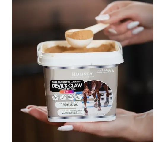 Czarci Pazur + MSM + Vit C 1000g schorzenia aparatu ruchu