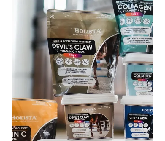 Czarci Pazur + MSM + Vit C 1000g schorzenia aparatu ruchu