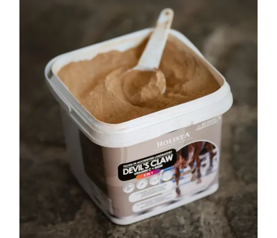 Czarci Pazur + MSM + Vit C 1000g schorzenia aparatu ruchu