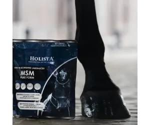 MSM 450g wsparcie stawów, mięśni i kopyt