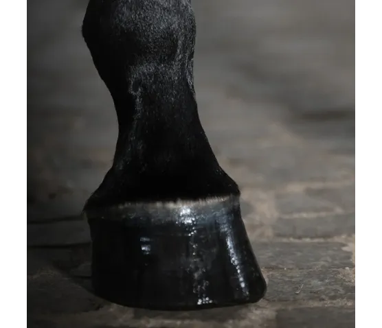 Zwalcza i zapobiega grudzie 100ml Płyn na grudę Mudshield STEP 2