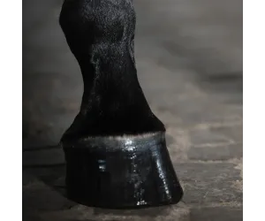 Antybakteryjne mydło w żelu 200ml Mudwash STEP 1