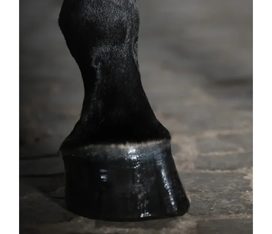 Antybakteryjne mydło w żelu 200ml Mudwash STEP 1