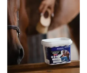 Muscle Endurance Complex 800g rozbudowa mięśni