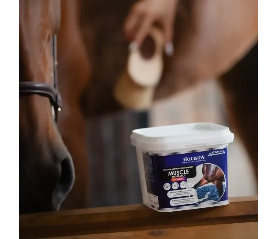 Muscle Endurance Complex 800g rozbudowa mięśni