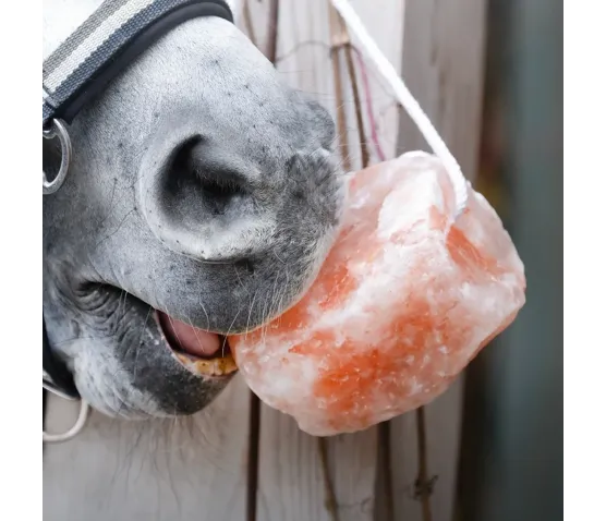 Sól himalajska Show naturalne źródło minerałów 0,8 - 1,5 kg Show Himalayan Salt