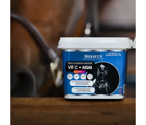 Witamina C + MSM 1000g wsparcie odporności i aparatu ruchu