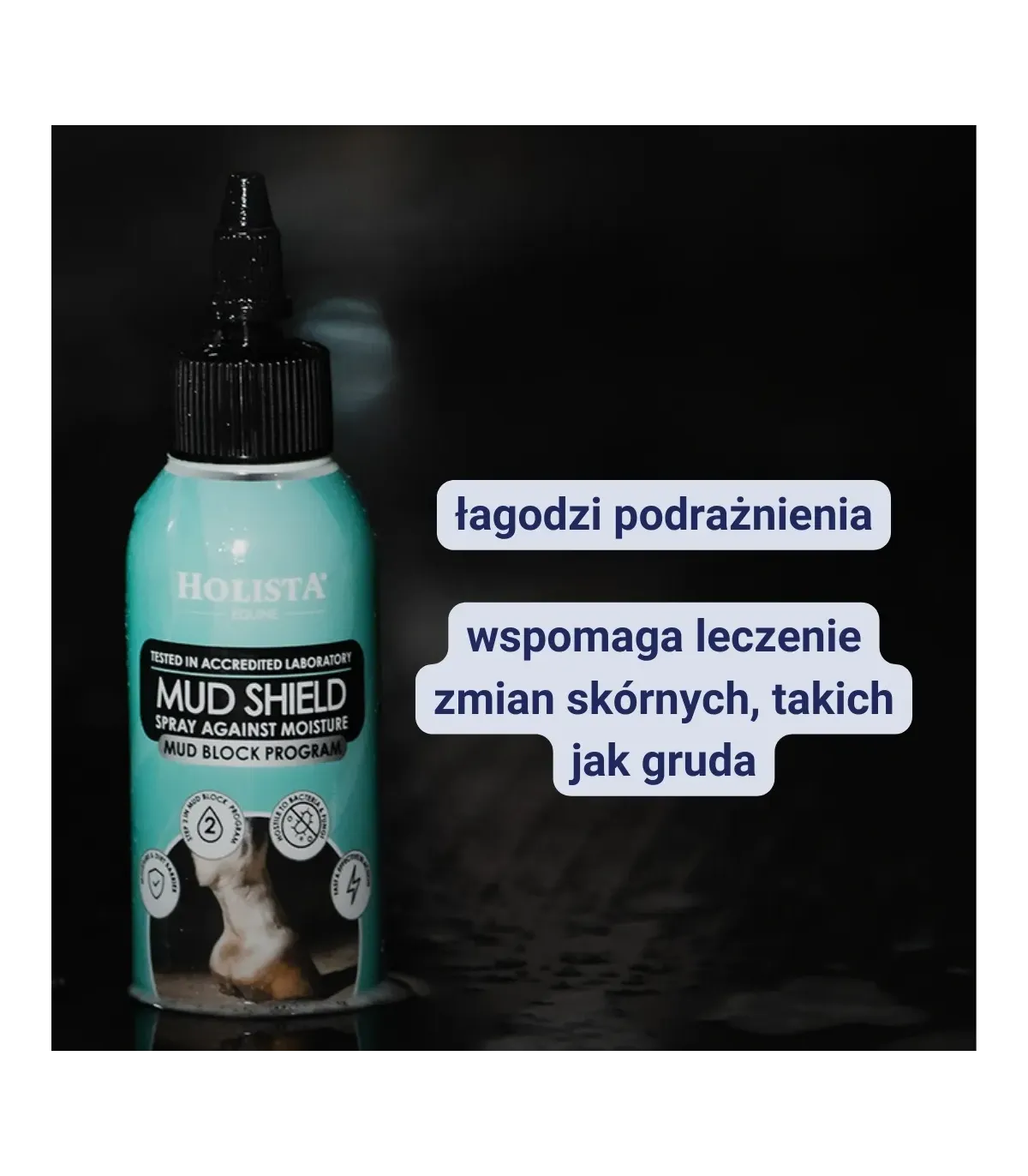 Zwalcza i zapobiega grudzie 100ml Płyn na grudę Mudshield STEP 2