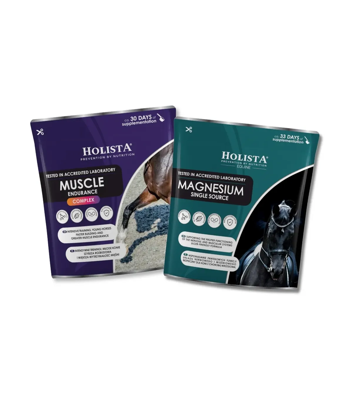 Wiosenna Sprawność Muscle Endurance + Magnez 15% TANIEJ