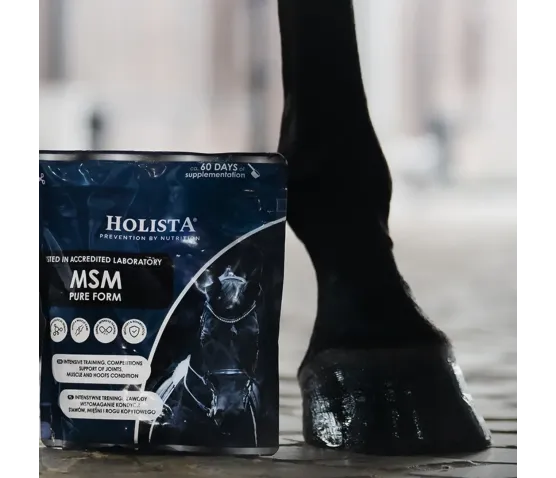 Wiosenne Wsparcie - MultiVital + Witamina E + MSM 15% TANIEJ