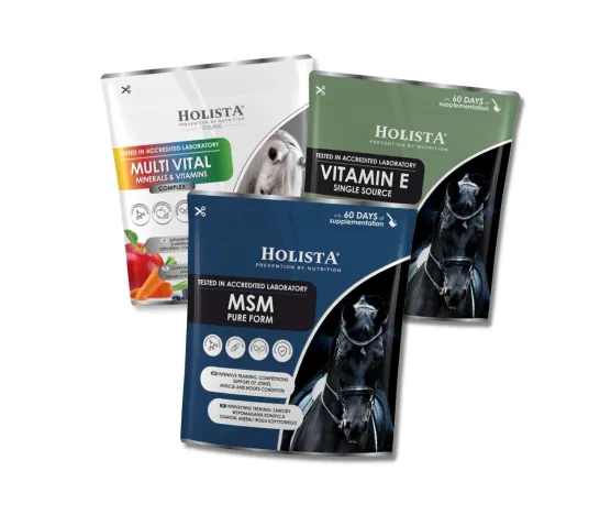 Wiosenne Wsparcie - MultiVital + Witamina E + MSM 15% TANIEJ