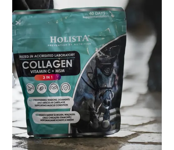 Kolagen 3w1 Vit C + MSM 600g wzmocnienie struktury ścięgien i stawów