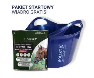 Boswellia Serrata Complex 500g + Wiadro elastyczne 17l GRATIS - Pakiet Startowy