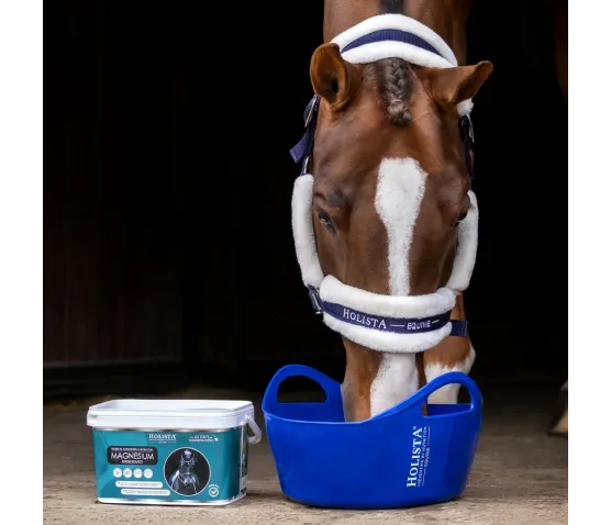 Magnesium 1600g + Wiadro elastyczne 17l z pokrywką GRATIS - Pakiet Startowy