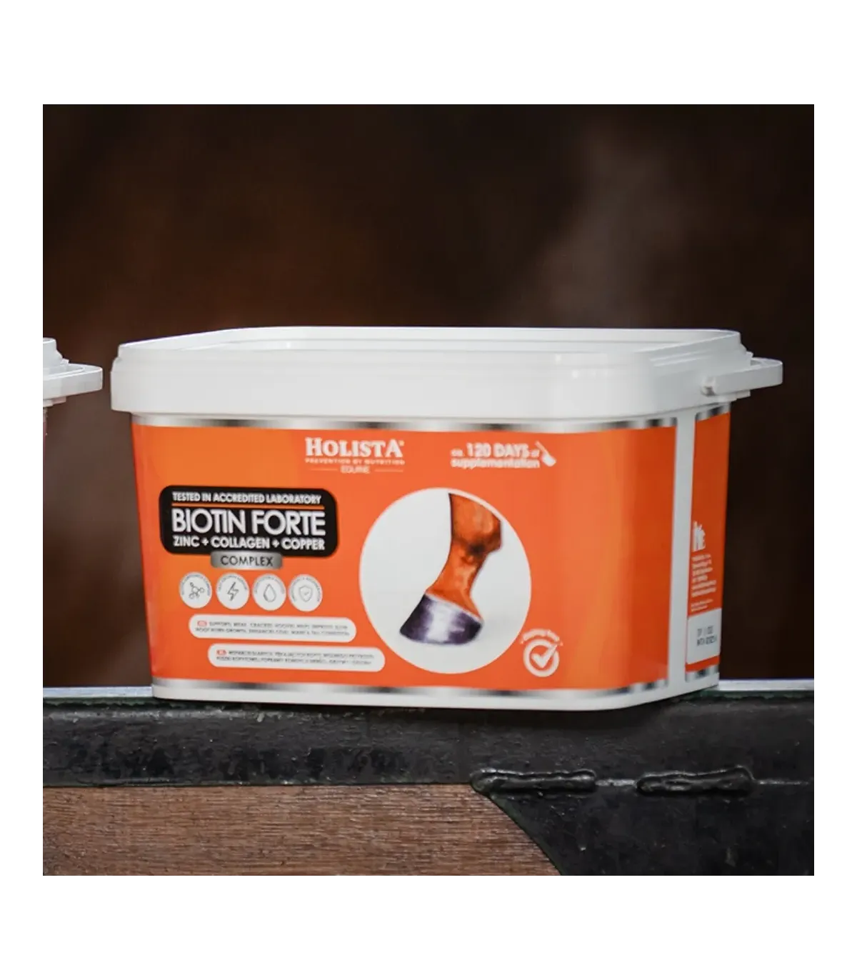 Biotin Forte 1800g + Wiadro elastyczne 17l z pokrywką GRATIS - Pakiet Startowy