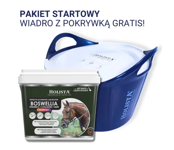 Boswellia Serrata Complex 1000g + Wiadro elastyczne 17l z pokrywką GRATIS - Pakiet Startowy
