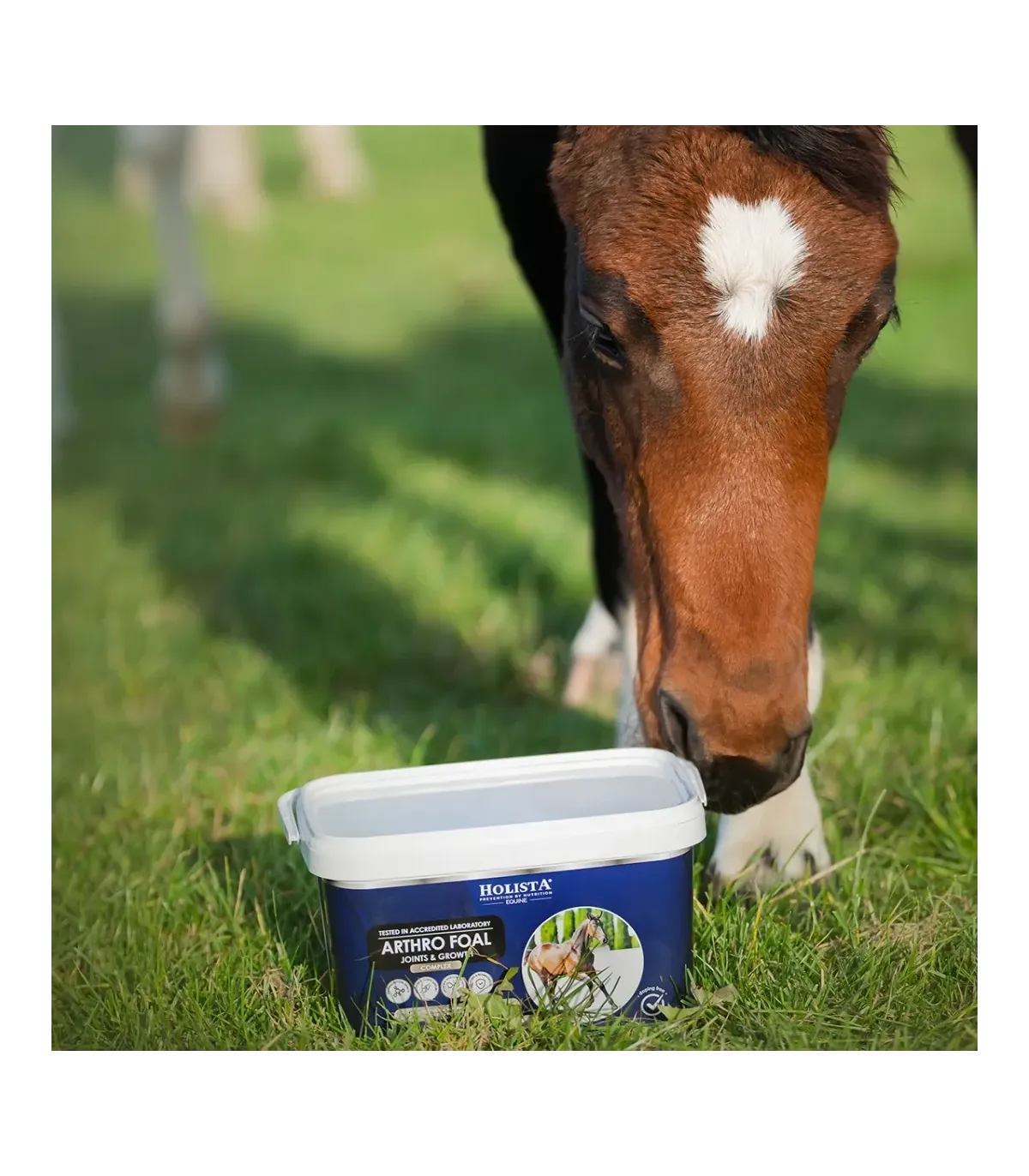 Arthro Foal 2000g wsparcie aparatu ruchu źrebaków