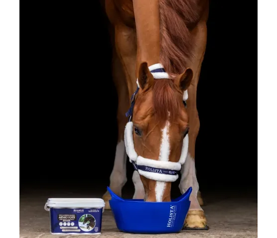 Arthro Forte 2000g profesjonalna ochrona i regeneracja aparatu ruchu