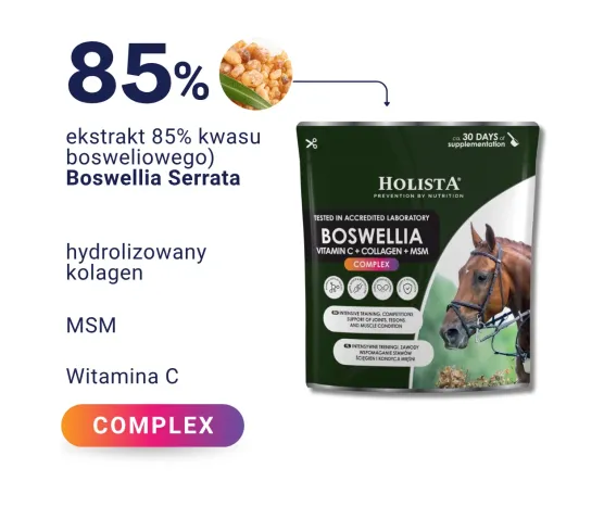 Boswellia Serrata Complex 500g na regenerację stawów