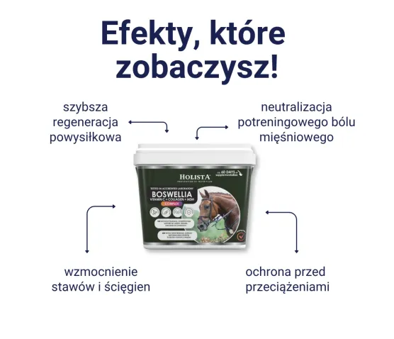 Boswellia Serrata Complex 500g na regenerację stawów
