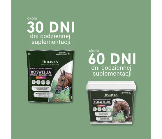 Boswellia Serrata Complex 500g na regenerację stawów