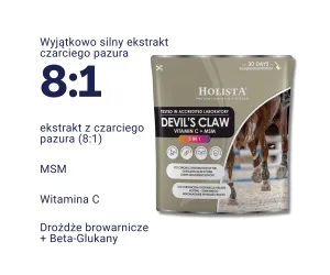 Czarci Pazur + MSM + Vit C 500g schorzenia aparatu ruchu