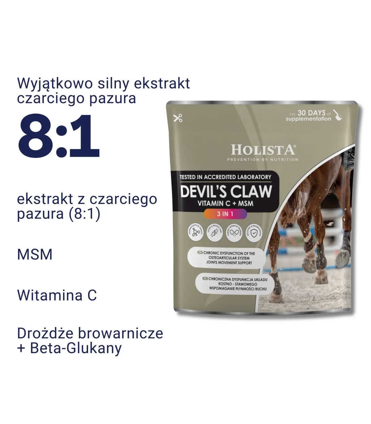 Czarci Pazur + MSM + Vit C 500g schorzenia aparatu ruchu