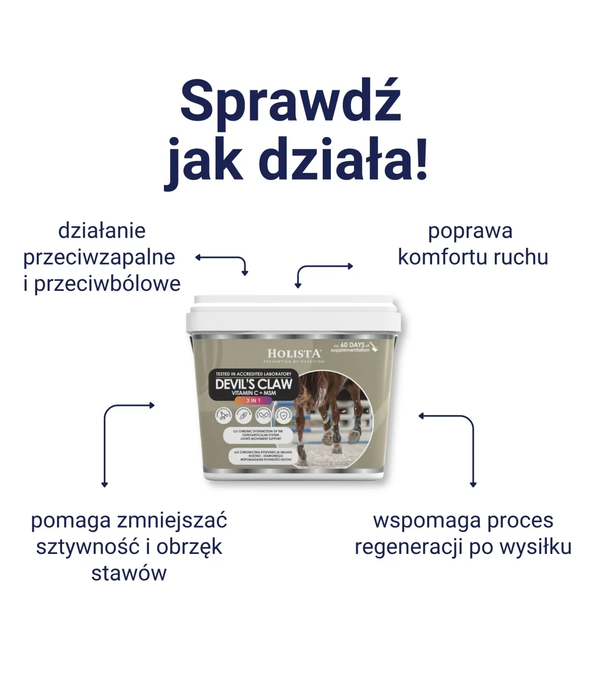 Czarci Pazur + MSM + Vit C 500g schorzenia aparatu ruchu