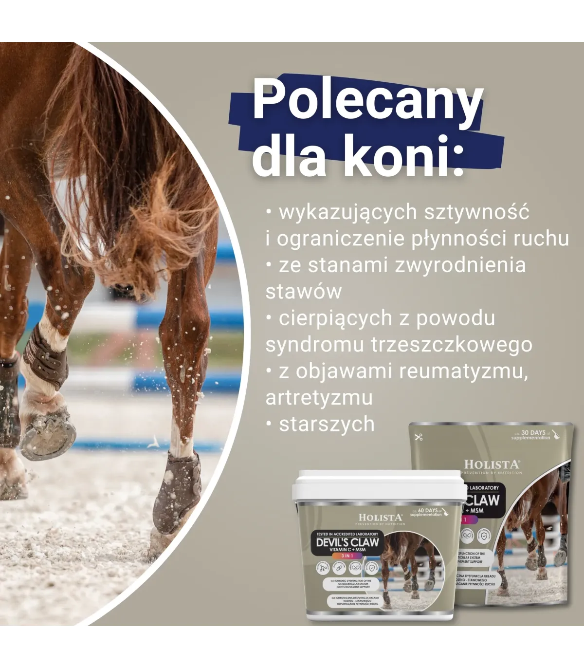 Czarci Pazur + MSM + Vit C 500g schorzenia aparatu ruchu