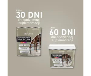 Czarci Pazur + MSM + Vit C 500g schorzenia aparatu ruchu