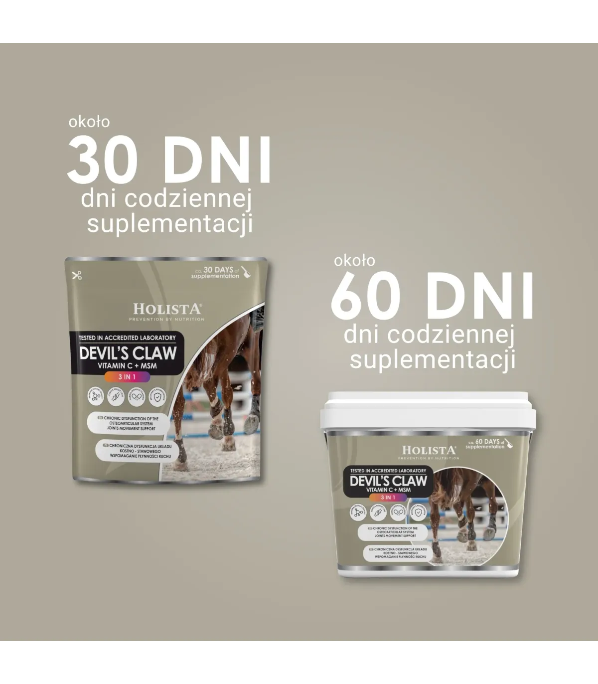 Czarci Pazur + MSM + Vit C 500g schorzenia aparatu ruchu