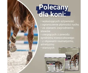 Czarci Pazur + MSM + Vit C 500g schorzenia aparatu ruchu