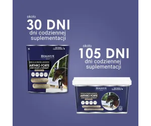 Arthro Forte 600g