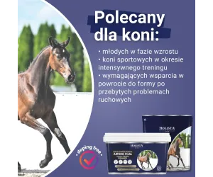 Arthro Foal 2000g wsparcie aparatu ruchu źrebaków
