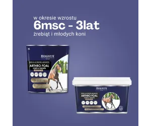 Arthro Foal 600g wsparcie aparatu ruchu źrebaków