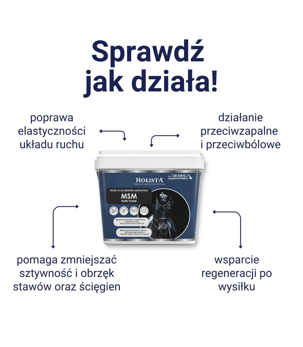 MSM 900g wsparcie stawów, mięśni i kopyt