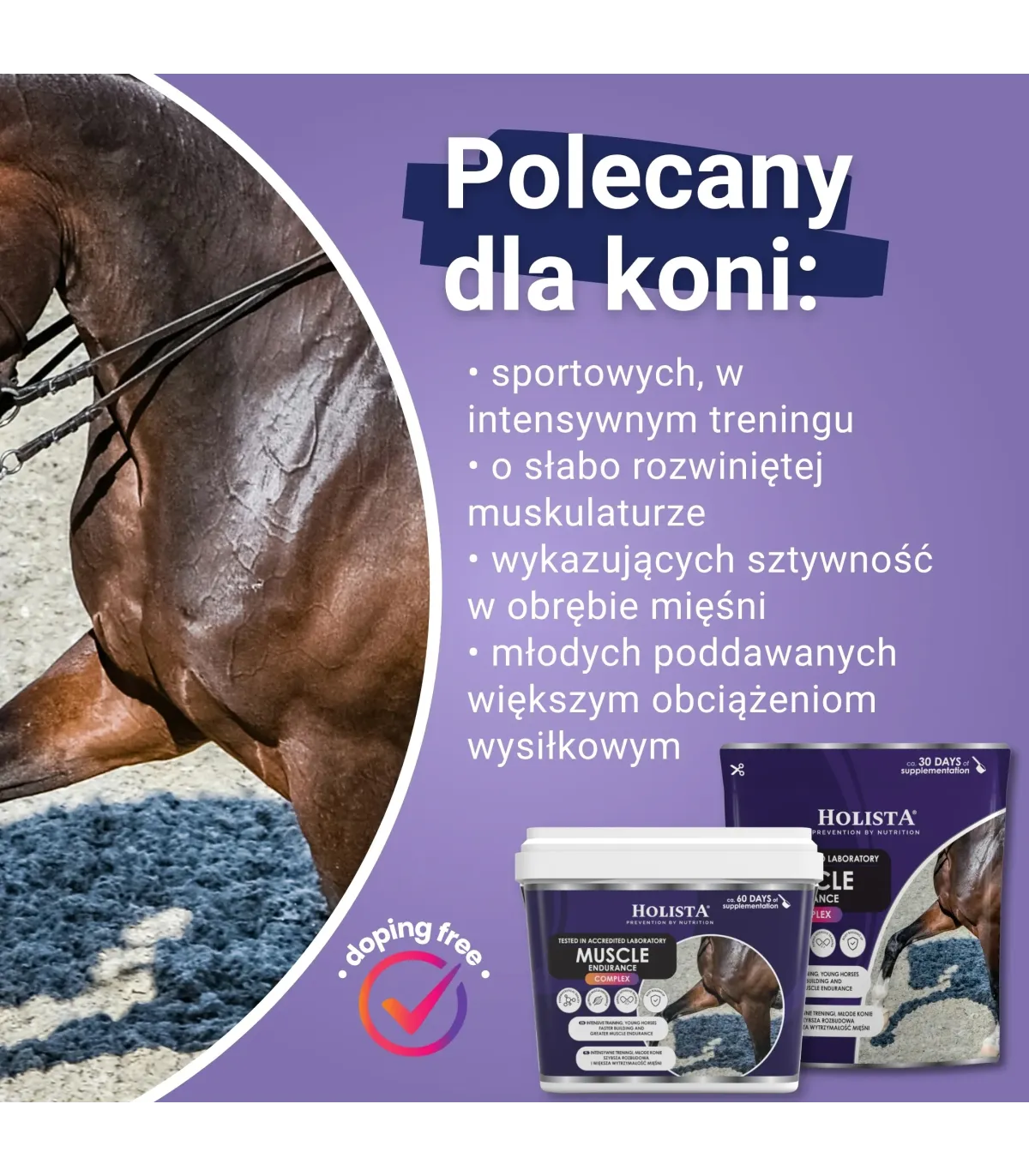 Muscle Endurance Complex 400g rozbudowa mięśni